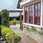 Pura Vida